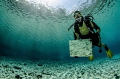   this pic was taken Grner See Austria July 2014 very nice dive call fourth dimension..... dimension  
